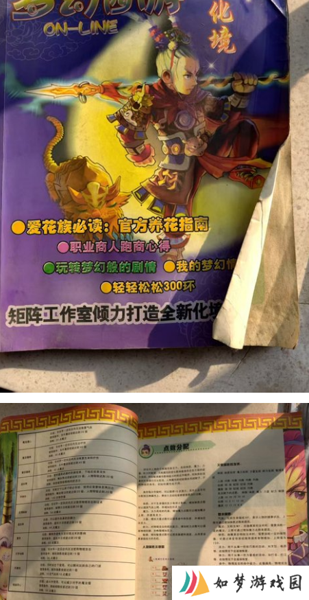 梦幻西游祖传攻略书能换几张点卡？王谢打造全服唯一林中鸟四季机关人