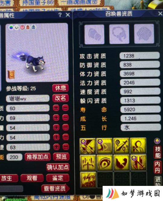 梦幻西游天猴“一拳超狼”谁人能挡？环装出无级别用光一年手气
