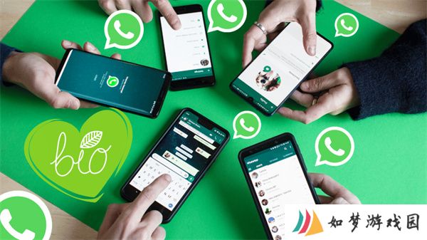 whatsapp最新版官方版