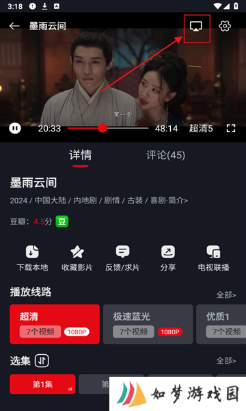 网飞猫