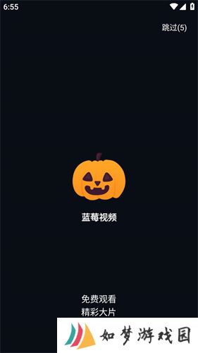 蓝莓视频免费版