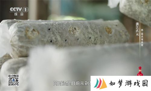 星火电视直播