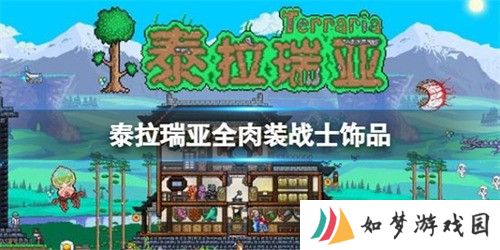 泰拉瑞亚全肉装战士出装怎么选 肉装战士饰品出装搭配推荐
