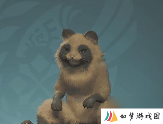 《怪物猎人荒野》古杯蟹在哪里？位置分享是什么？