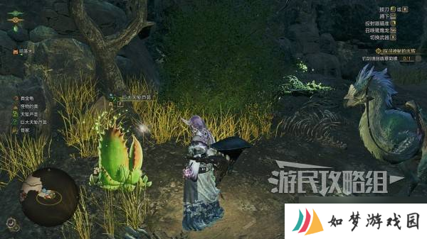 怪物猎人荒野稀有度6特产大全 稀有度6特产获取方法总汇