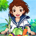 新小森生活