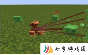 我的世界青蛙有什么用 我的世界青蛙用途介绍